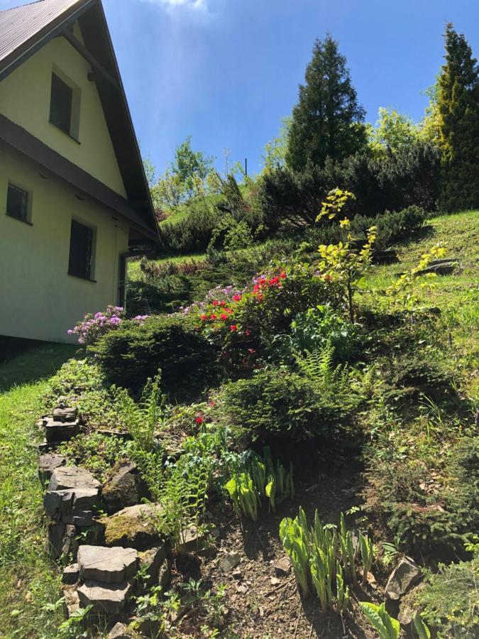 Mountain Cottage Lubomierz Lubomierz  Kültér fotó