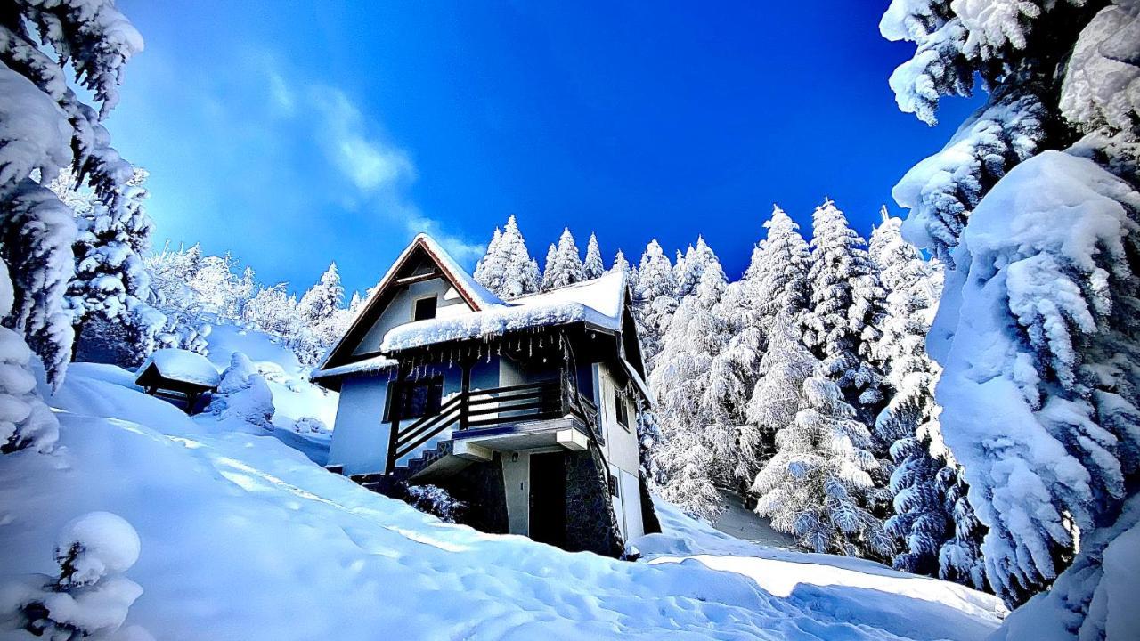Mountain Cottage Lubomierz Lubomierz  Kültér fotó